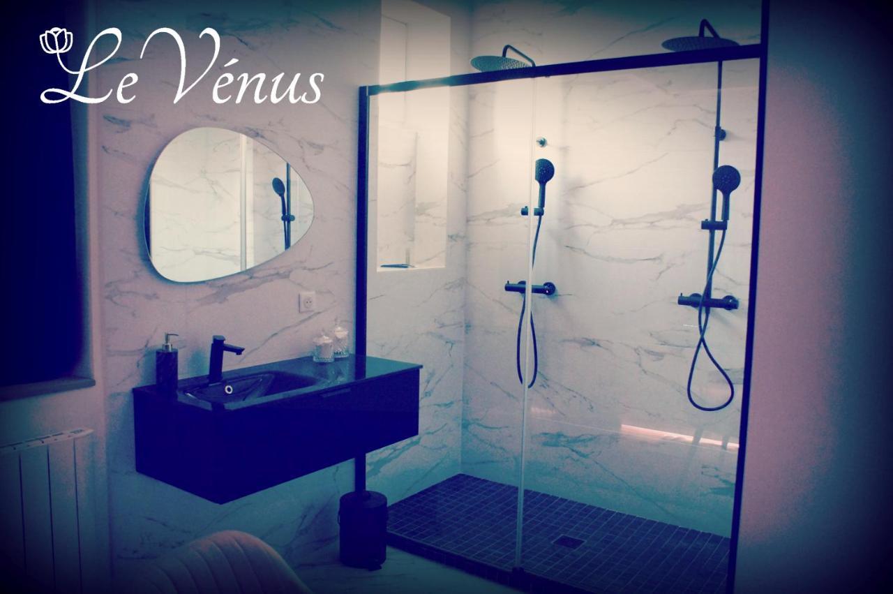 Le Venus - Appartement Spa Privatif Balneo Sauna Dijon Dış mekan fotoğraf